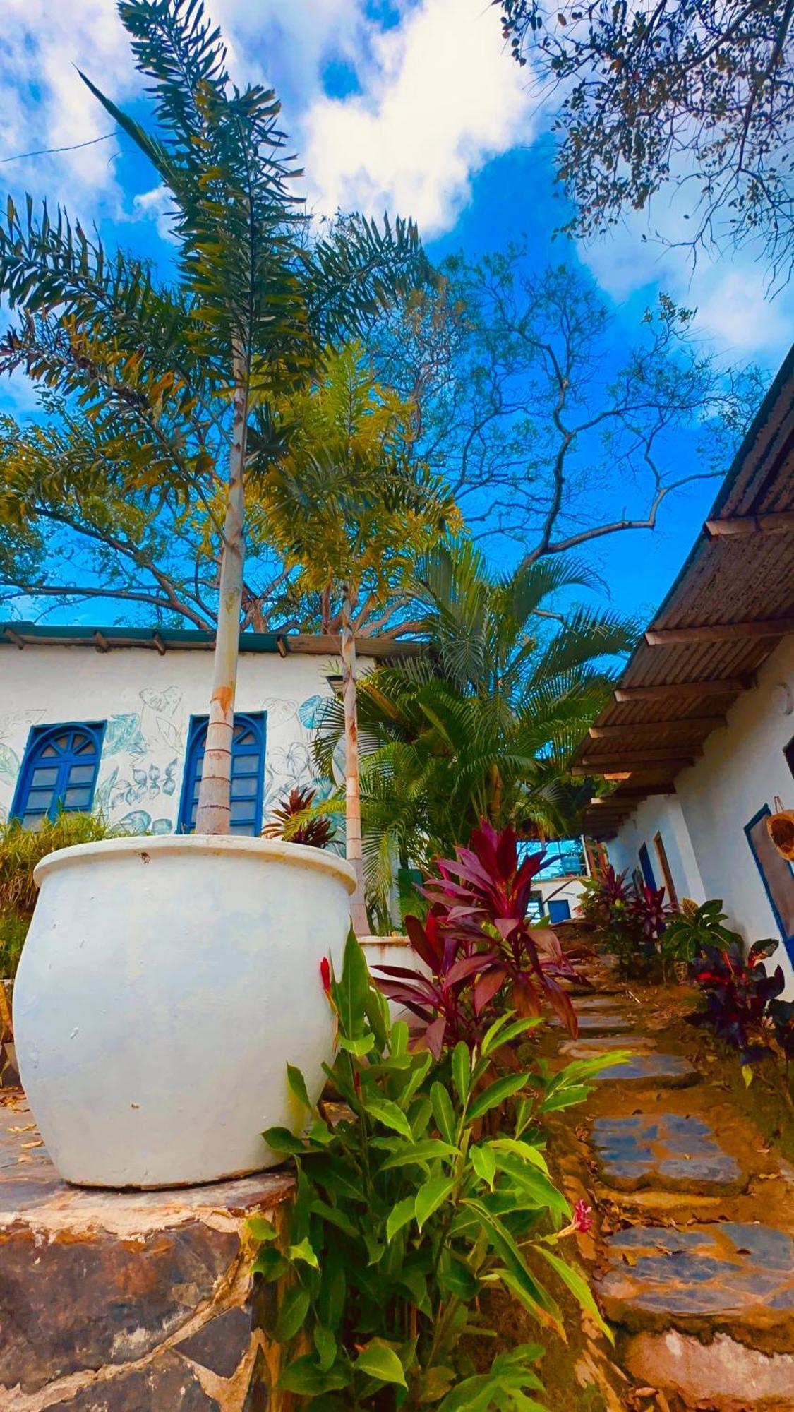 Hotel Renasci Palomino Esterno foto