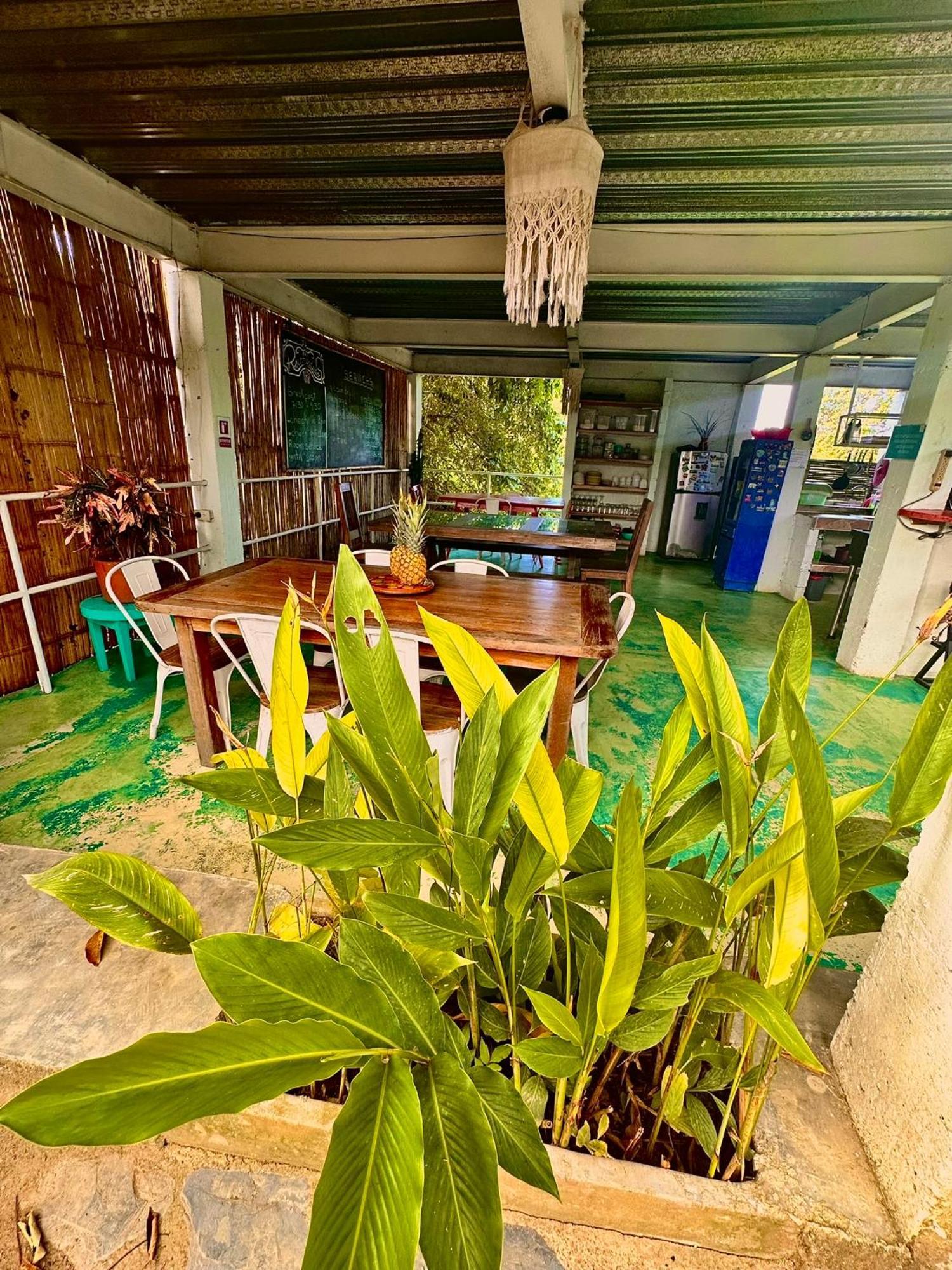 Hotel Renasci Palomino Esterno foto